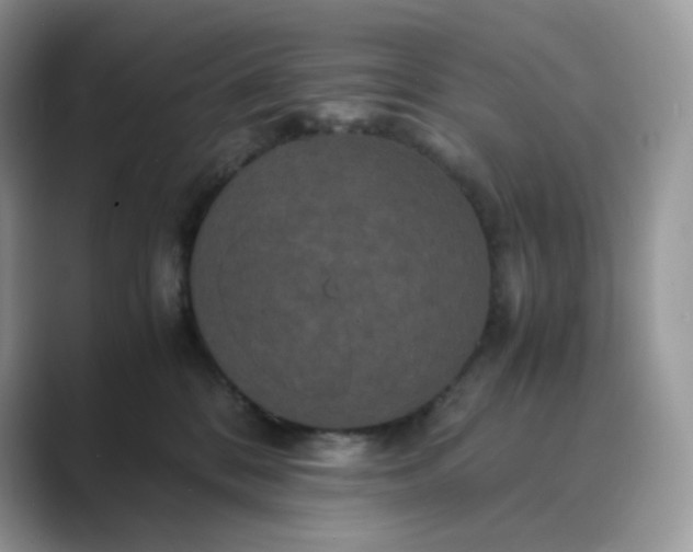 X0000089730328200707051743