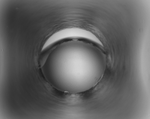 X0000089730329200707051743