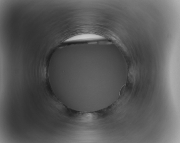 X0000089730330200707051743
