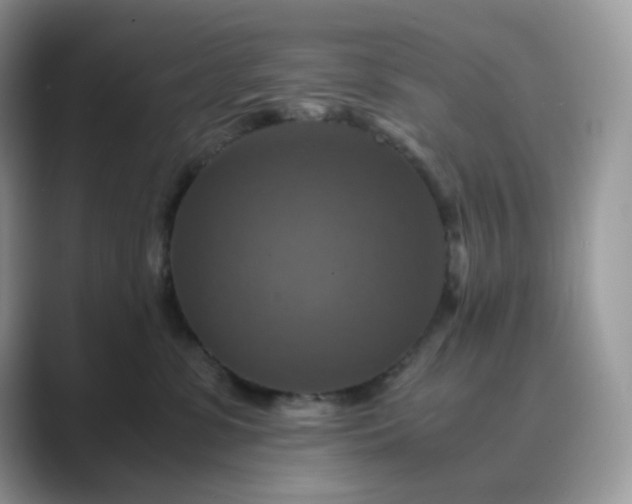 X0000089730331200707051743
