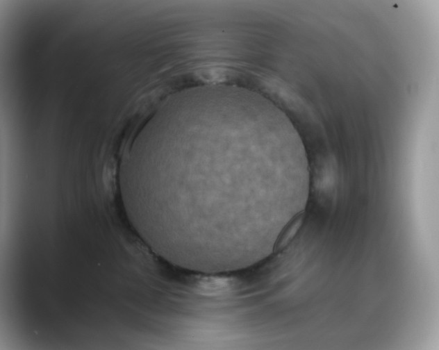 X0000089730332200707051743