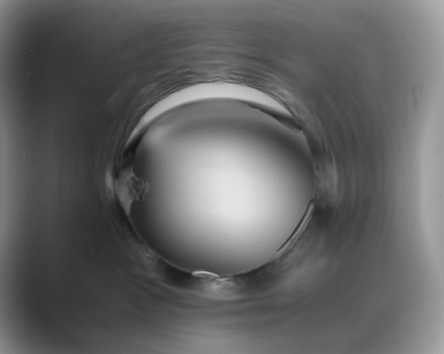 X0000089730333200707051743
