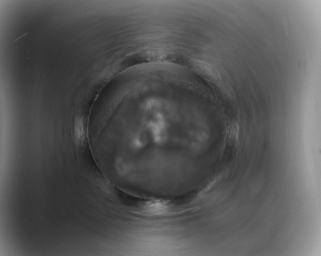 X0000089730335200707051743
