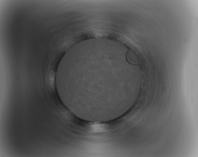 X0000089730336200707051743
