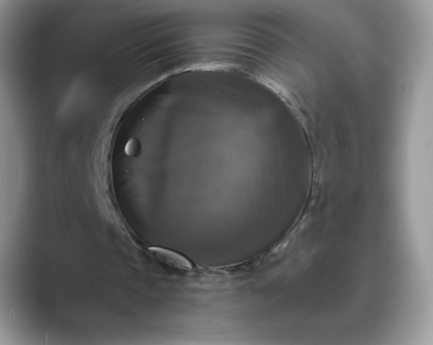 X0000089730337200707051743