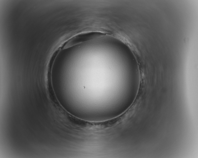 X0000089730340200707051743