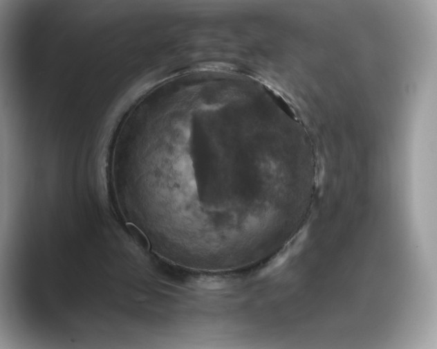 X0000089730341200707051743