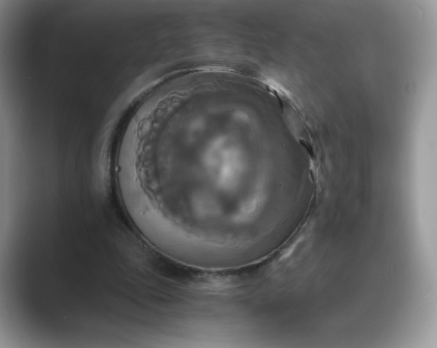 X0000089730343200707051743