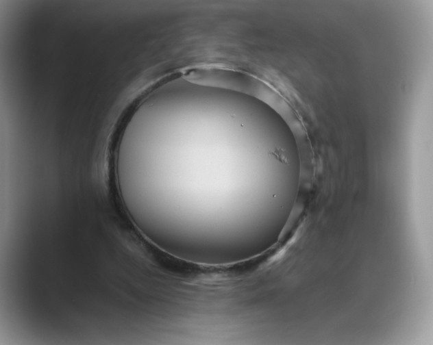 X0000089730344200707051743