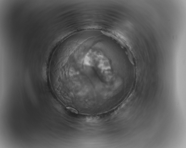 X0000089730345200707051743