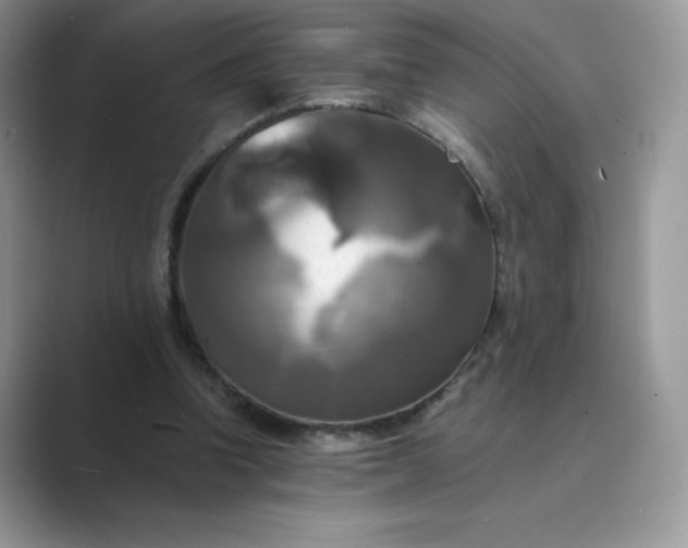 X0000089730346200707051743