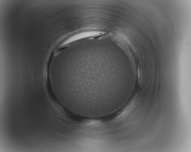 X0000089730348200707051743