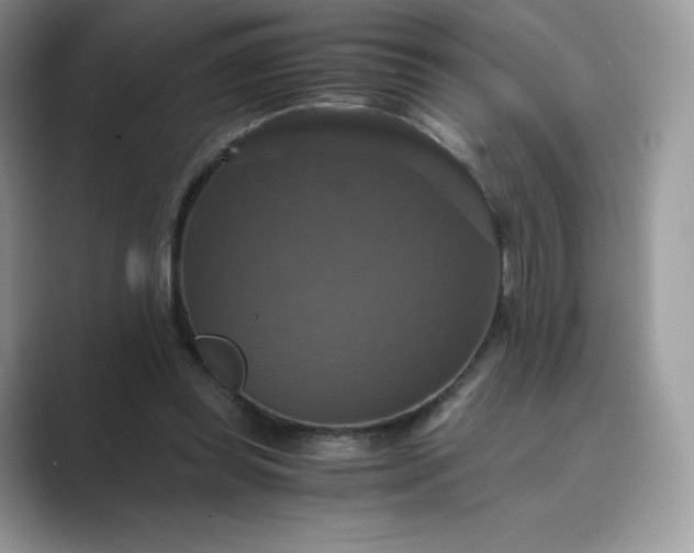 X0000089730349200707051743
