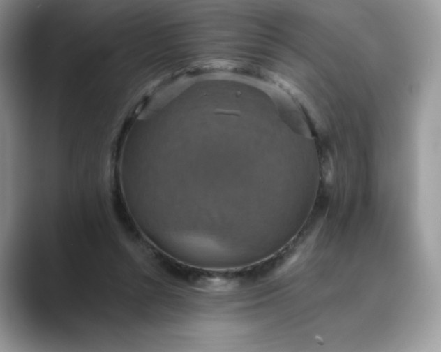 X0000089730352200707051743