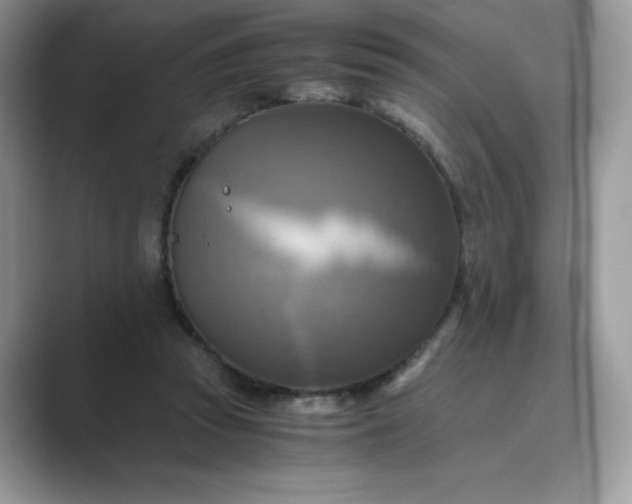 X0000089730353200707051743