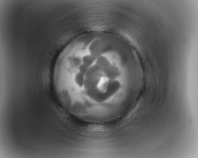 X0000089730354200707051743