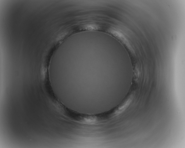 X0000089730355200707051743