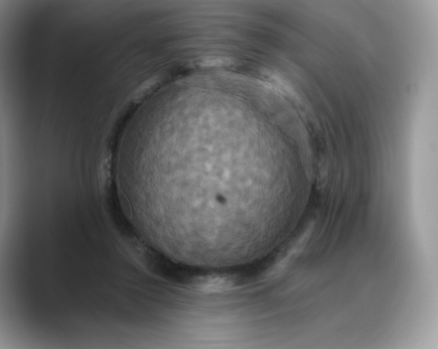 X0000089730356200707051743