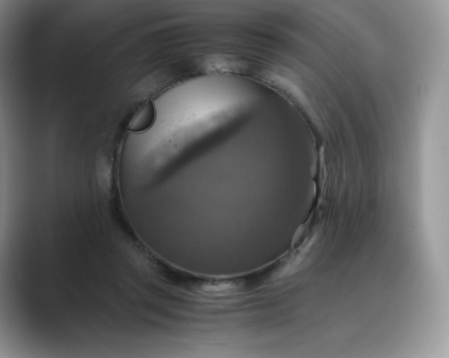 X0000089730357200707051743