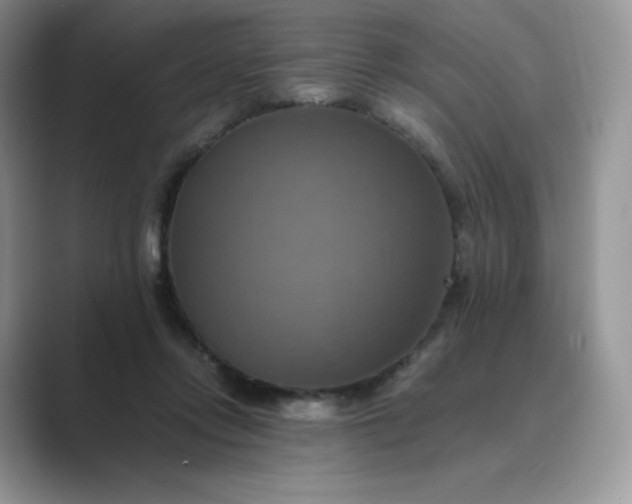 X0000089730358200707051743