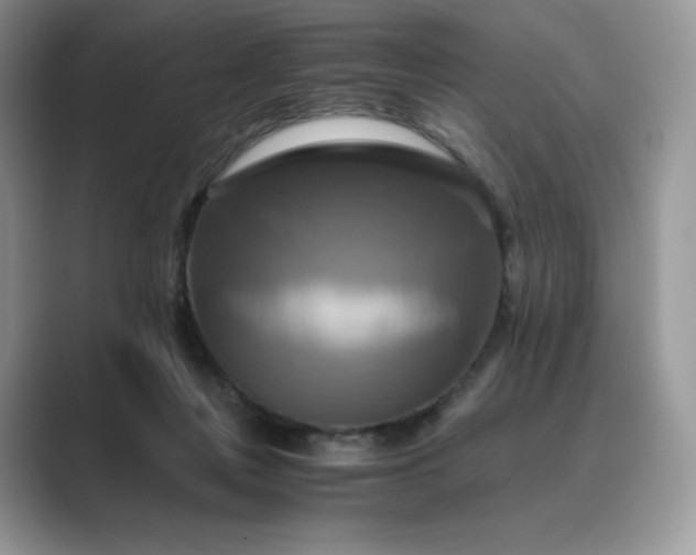 X0000089730359200707051743