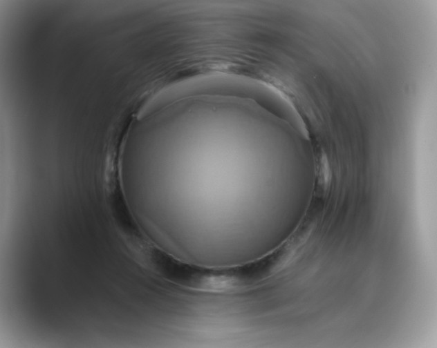 X0000089730360200707051743