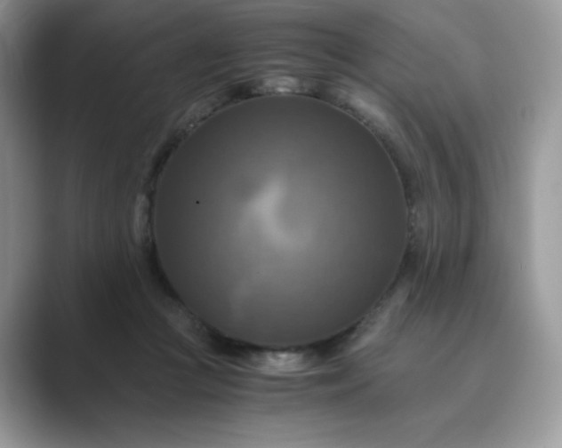 X0000089730361200707051743