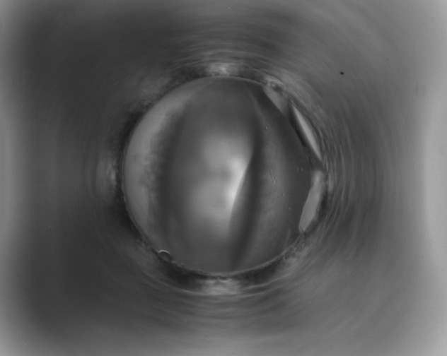 X0000089730363200707051743