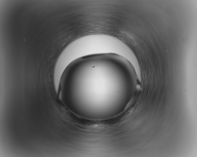X0000089730364200707051743