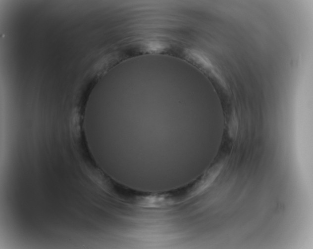 X0000089730366200707051743