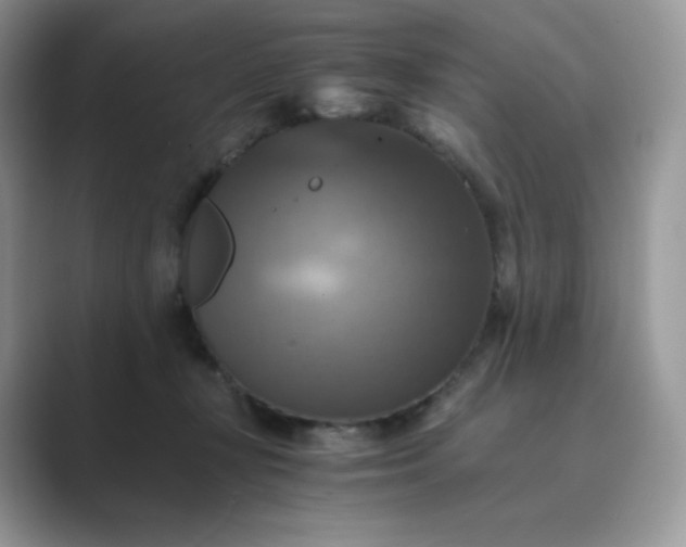 X0000089730367200707051743