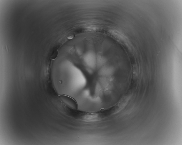 X0000089730369200707051743