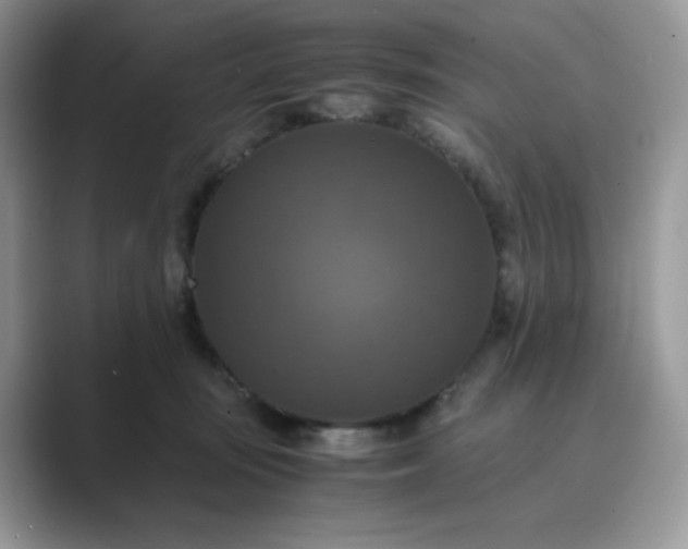X0000089730371200707051743