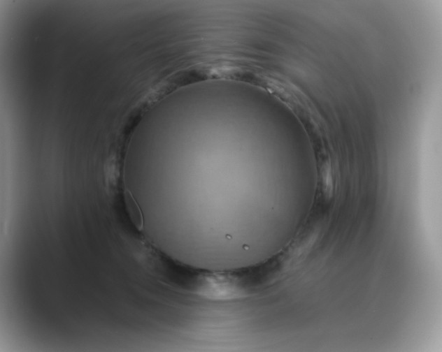 X0000089730372200707051743