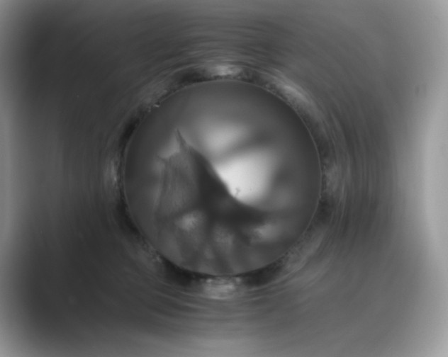 X0000089730373200707051743