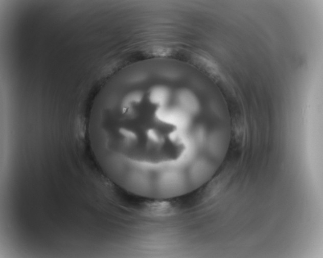 X0000089730374200707051743