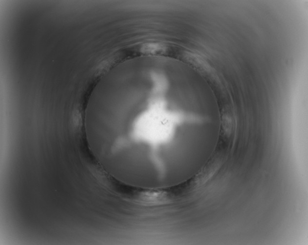 X0000089730375200707051743