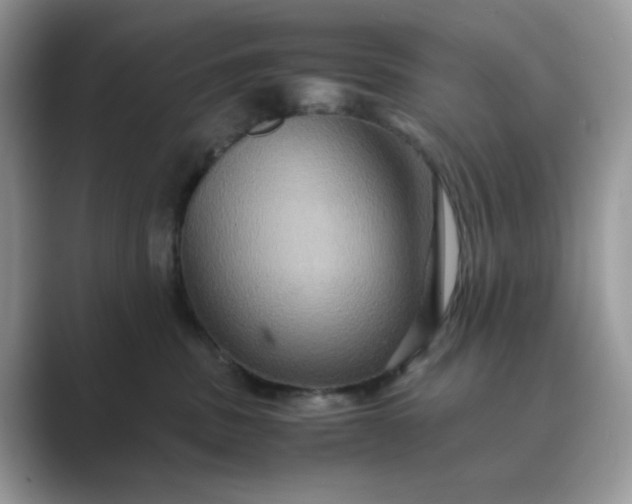 X0000089730379200707051743