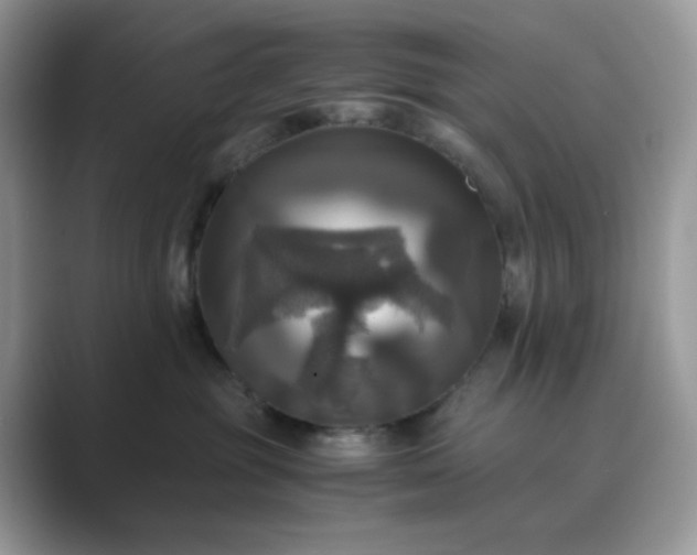 X0000089730381200707051743