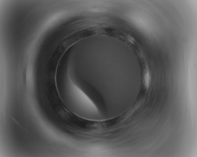 X0000089730383200707051743