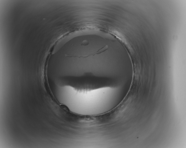 X0000089730386200707051743