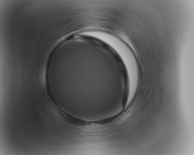 X0000089730387200707051743