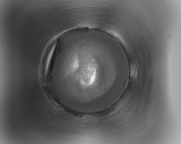 X0000089730388200707051743