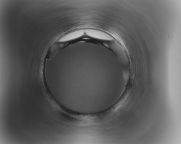 X0000089730389200707051743