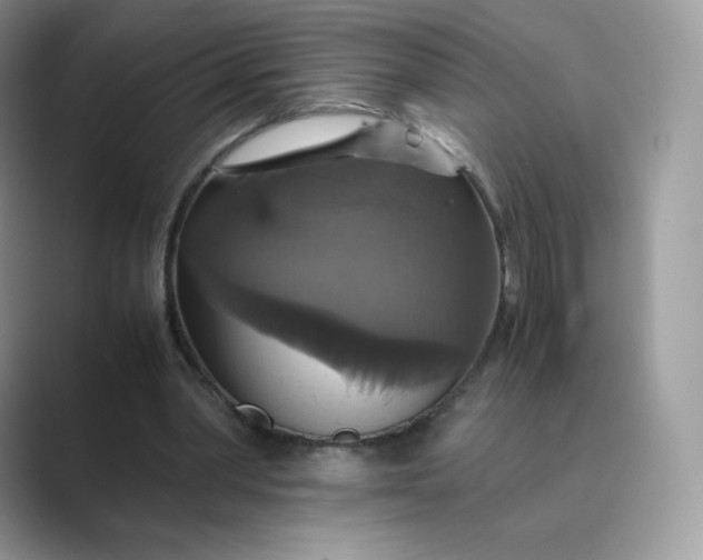 X0000089730390200707051743