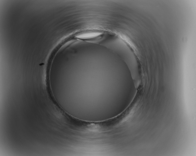 X0000089730391200707051743