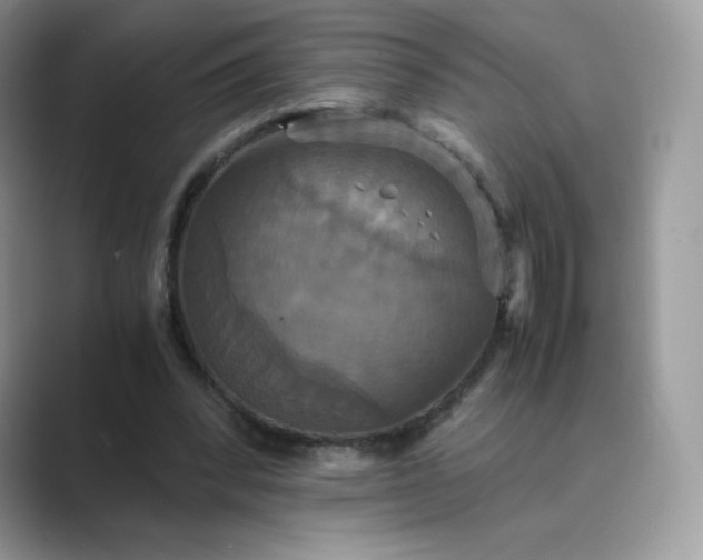 X0000089730392200707051742
