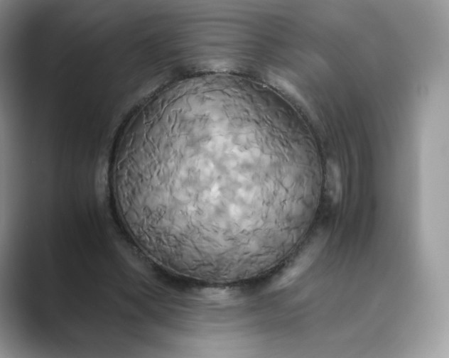 X0000089730394200707051742