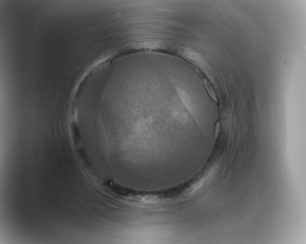 X0000089730395200707051742