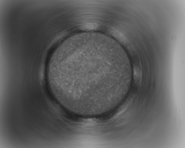 X0000089730396200707051742